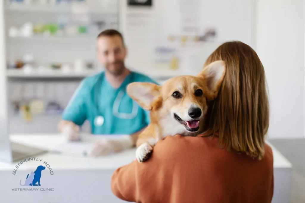 Glenhuntly Road Veterinary Clinic Case Study