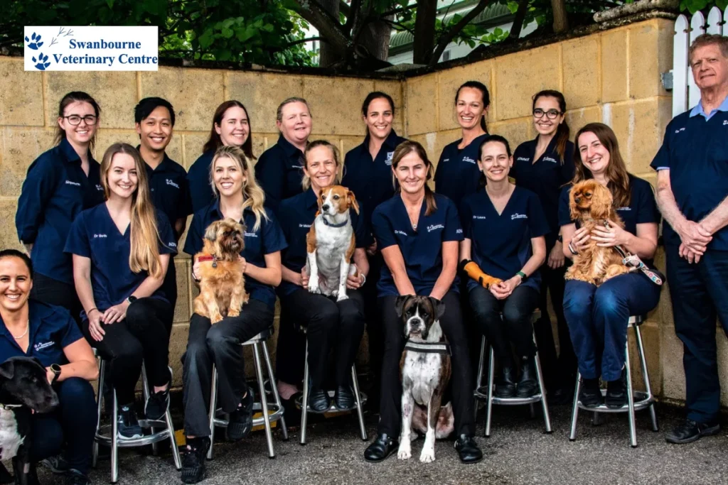 Swanbourne Veterinary Centre Case Study