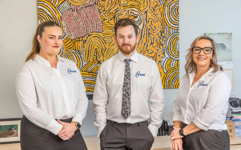Three Cenvet staff members in branded shirts stand together and smile in an office.