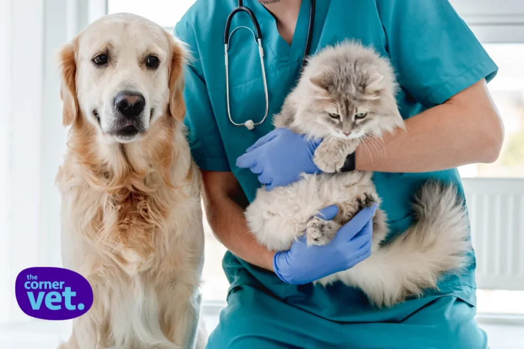 Reliable Supply for the Corner Vet